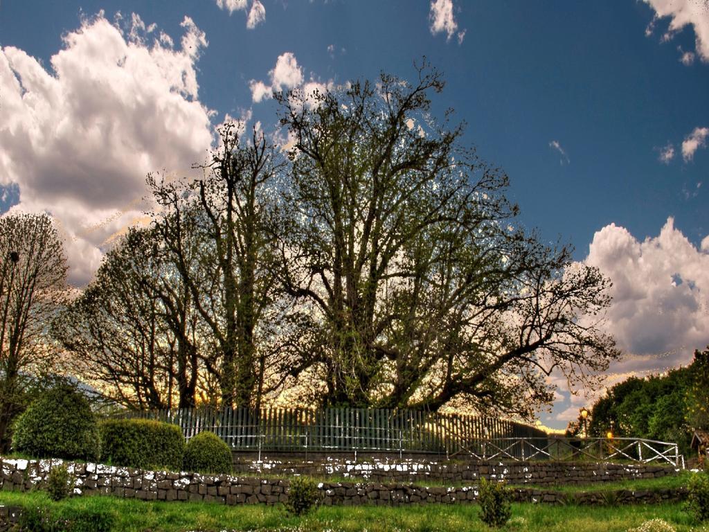 Villa Etna Dimora Dei Saponari à Trecastagni Extérieur photo